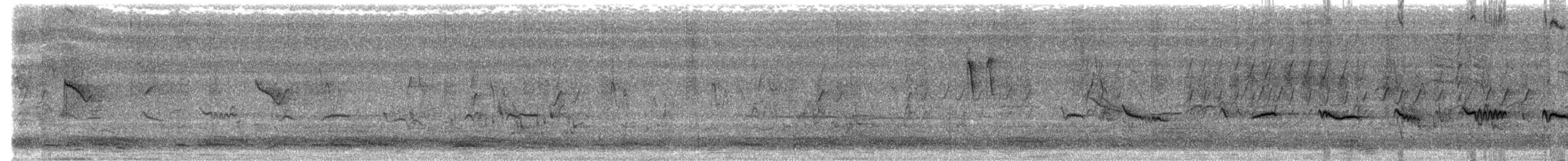 Hill Swallow - ML583449801