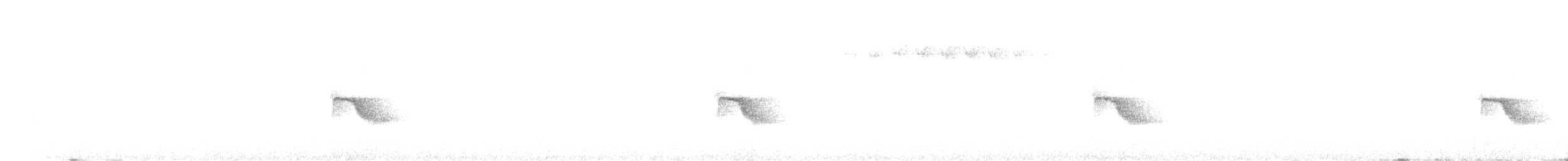 Пестрогорлый соловьиный дрозд - ML583484911