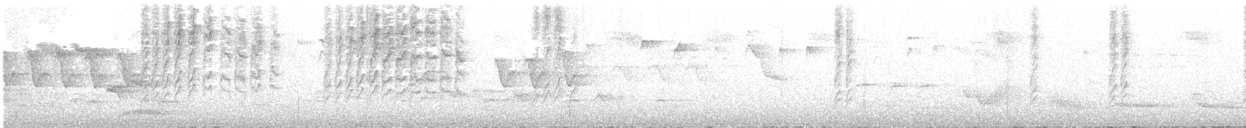 Çam Baştankarası (britannicus/hibernicus) - ML583503801