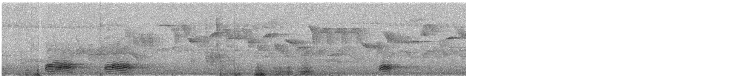 tykknebbkråke (macrorhynchos gr.) - ML583507511