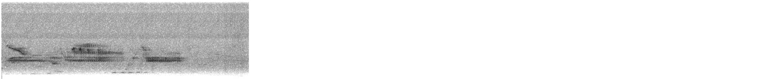 Bécassine de Wilson - ML583525271