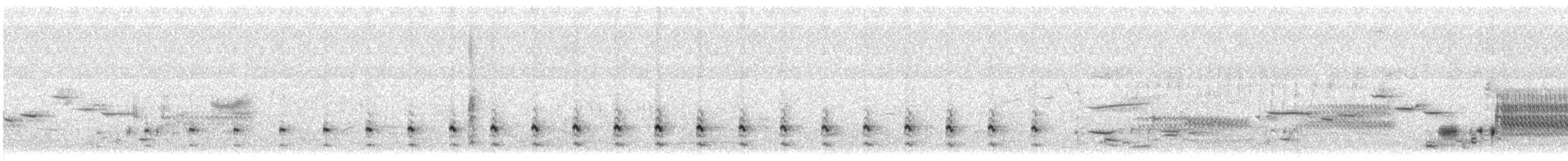 Bécassine de Wilson - ML583525301