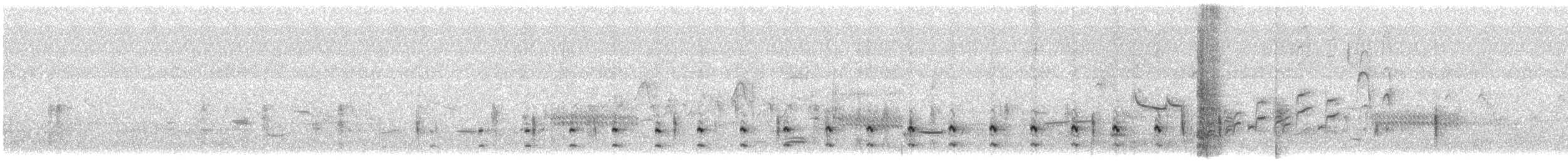 Bécassine de Wilson - ML583525331