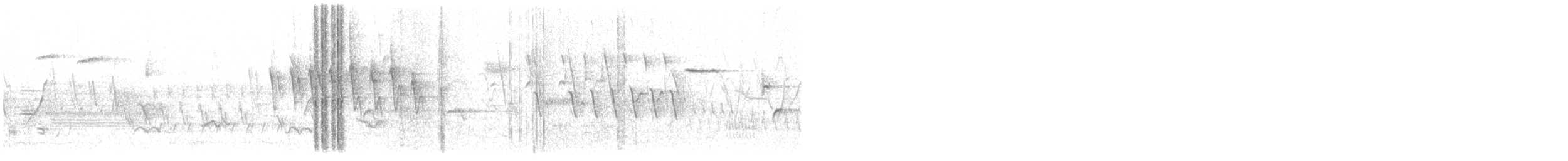 Paruline à calotte noire - ML583532971