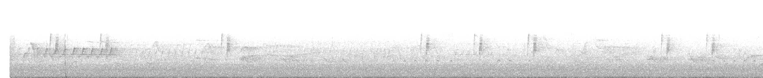 Küçük Boreal Sinekkapan - ML583539761