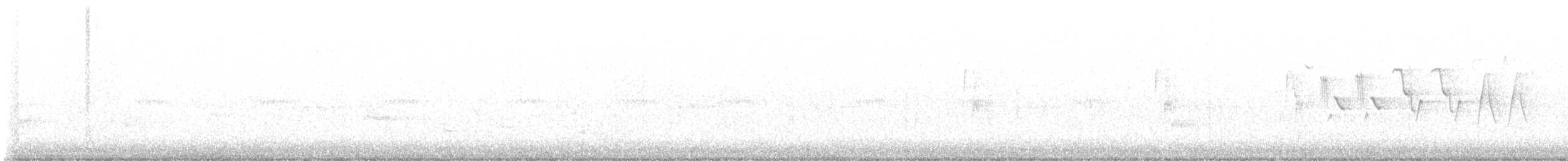 チビメジロハエトリ - ML583549581