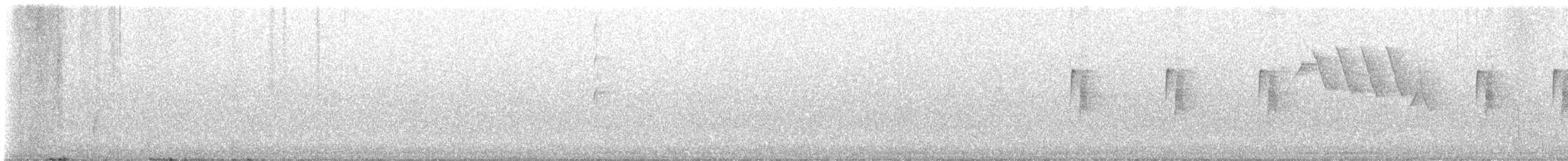 Least Flycatcher - ML583585571