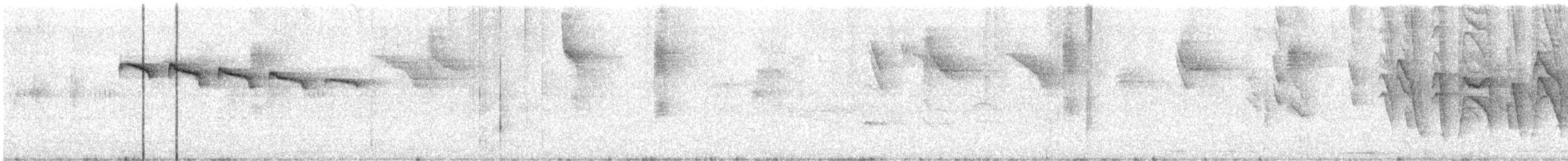 Pin-tailed Manakin - ML583621091