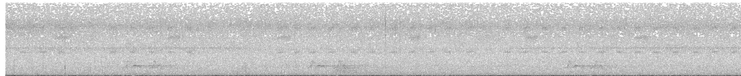 Chuck-will's-widow - ML583659211