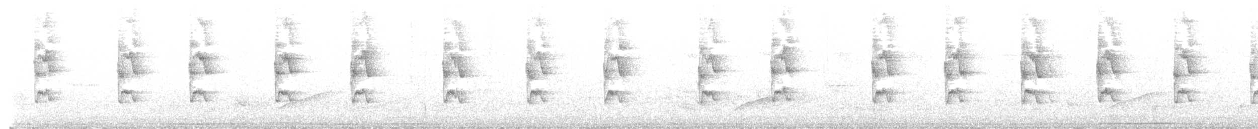 Ерміт південний - ML583692331