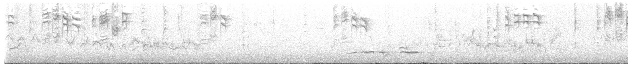 Çam Baştankarası (britannicus/hibernicus) - ML583716261