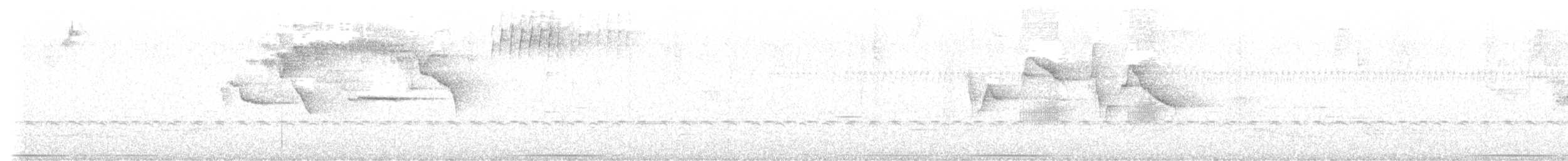 Белошапочная атлапета (albinucha) - ML583725451