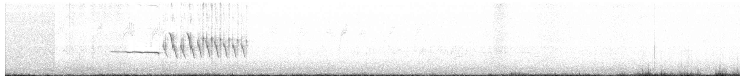 Bruant à couronne blanche - ML58376591