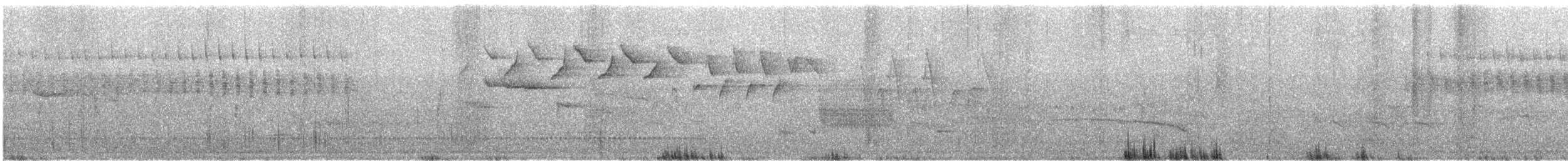Black-and-white Warbler - ML583774101