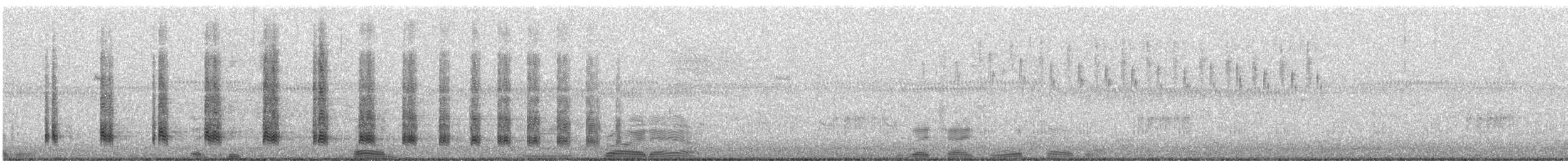 Austral-Schlangenhalsvogel - ML583796881