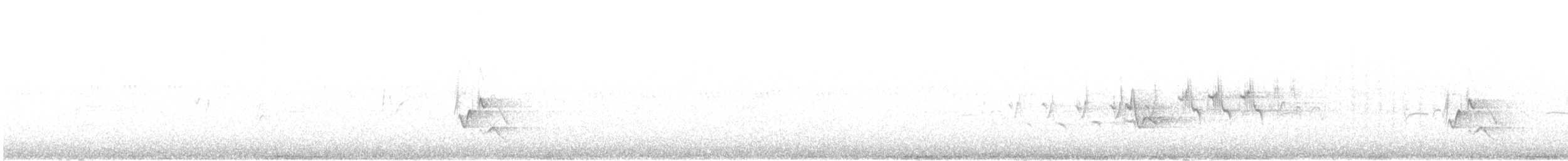 Plumbeous Vireo - ML583798411
