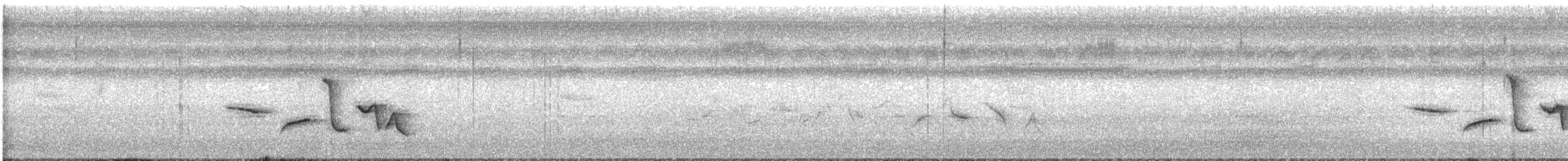 Spot-breasted Wren - ML583804181