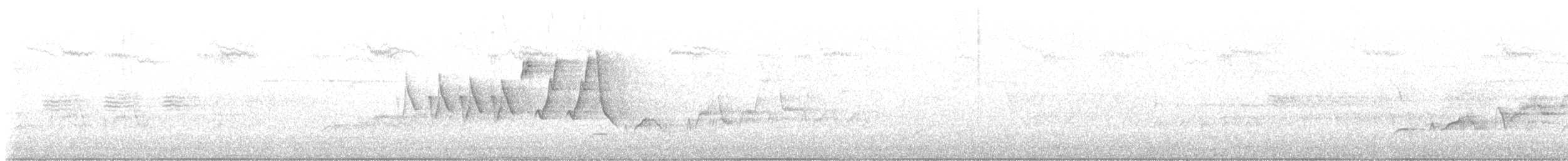 Chestnut-sided Warbler - ML583806901