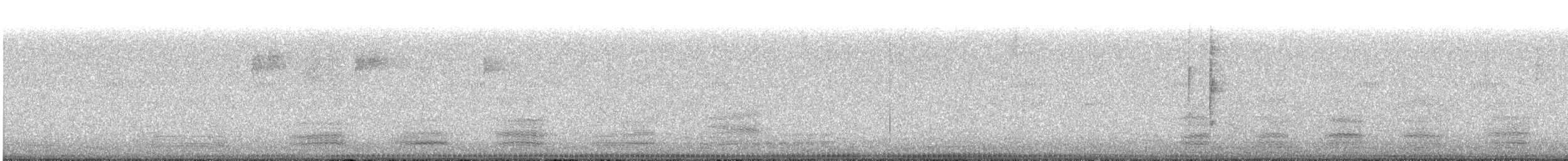 Тасманийский ворон - ML583808481