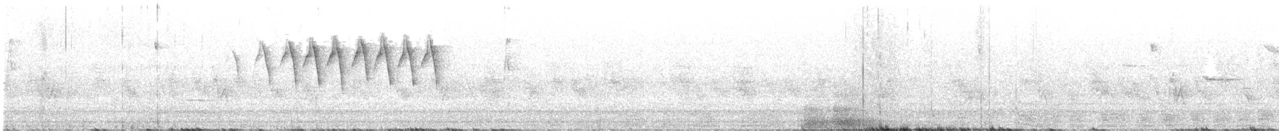 Cape May Warbler - ML583817371