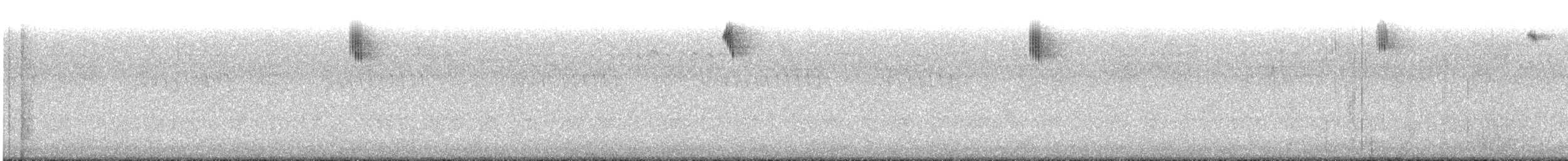 Queue-de-gaze du Sud - ML583819411