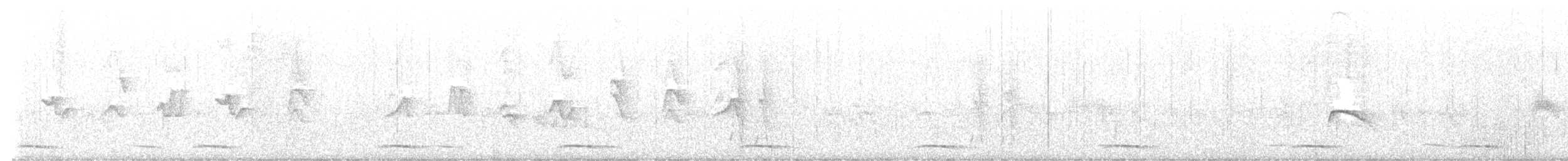 holub kostarický - ML583844011