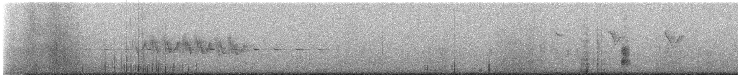 Mosquitero de Kamtchatka - ML58385001