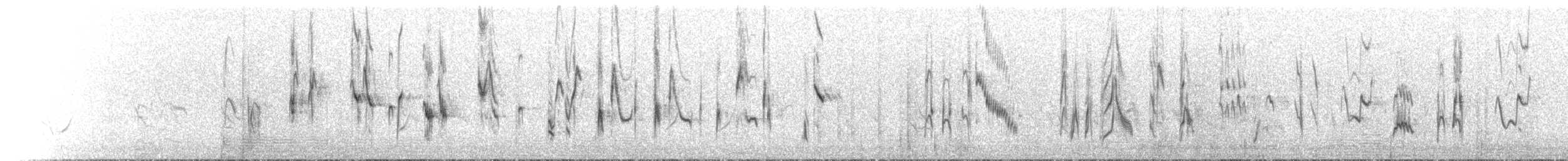 Red-tailed Shrike - ML583902151