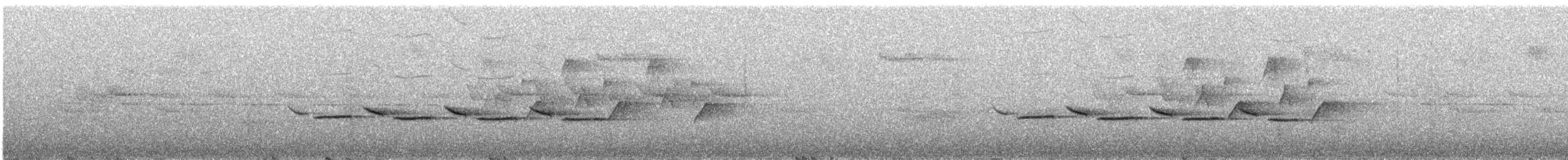Гаїчка-пухляк звичайна [група montanus] - ML583925691