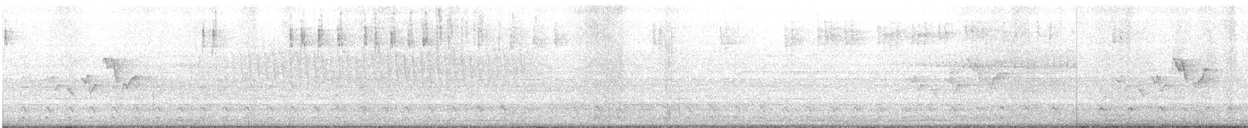 Magnolia Warbler - ML583980221