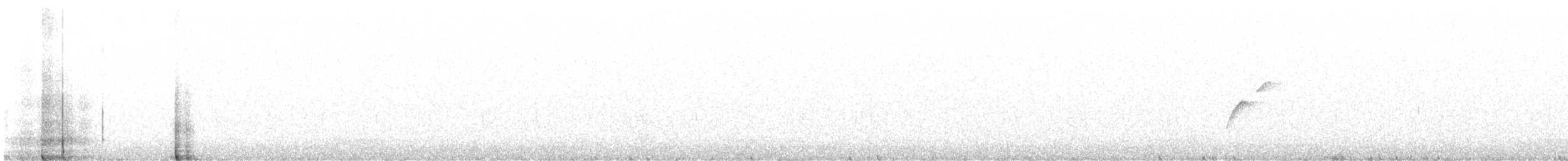 Batı Amerika Sinekkapanı (occidentalis/hellmayri) - ML583980241