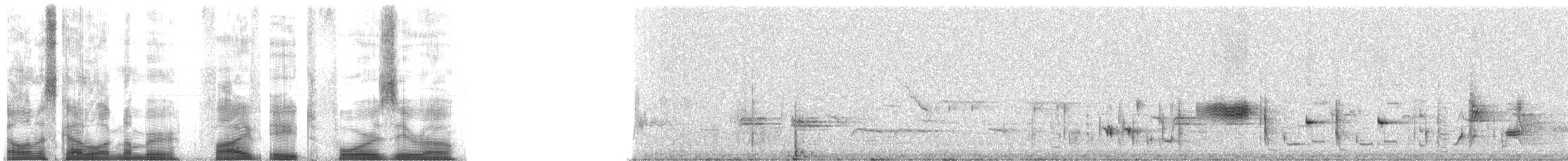 Picchion cramoisi - ML5840