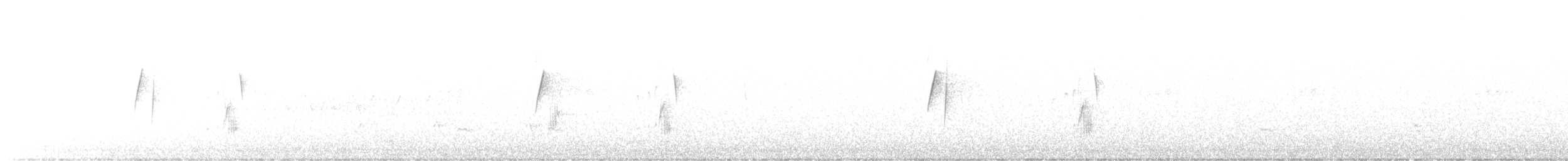 Hammond's Flycatcher - ML584007191