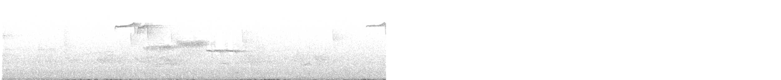 Black-throated Green Warbler - ML584007311