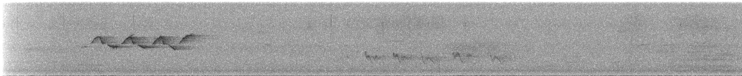 Townsend's/Hermit Warbler - ML584010451