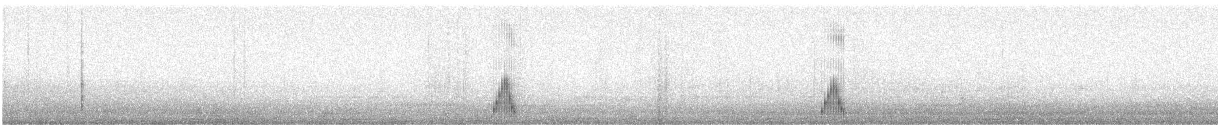 holoubek skřehotavý - ML584019691