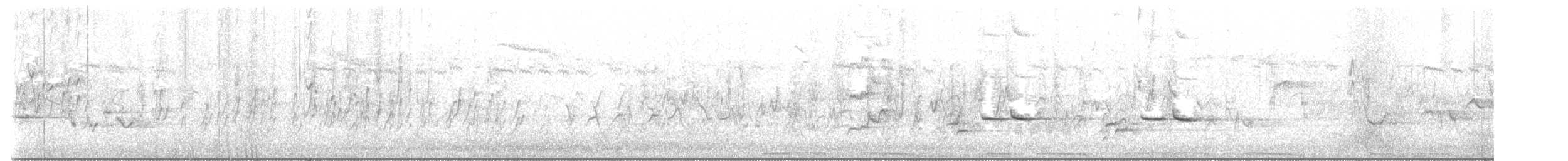Barn Swallow (White-bellied) - ML584055491