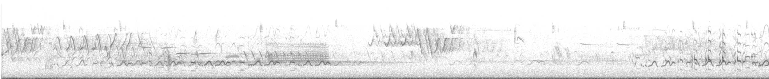 Schlammtreter (semipalmata) - ML584059211