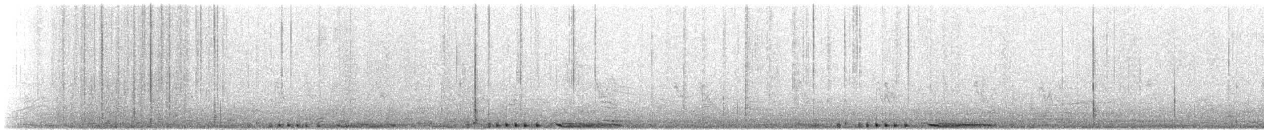 Pigeon biset (forme domestique) - ML584068941