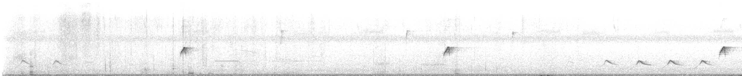 La Sagra's Flycatcher - ML584085831
