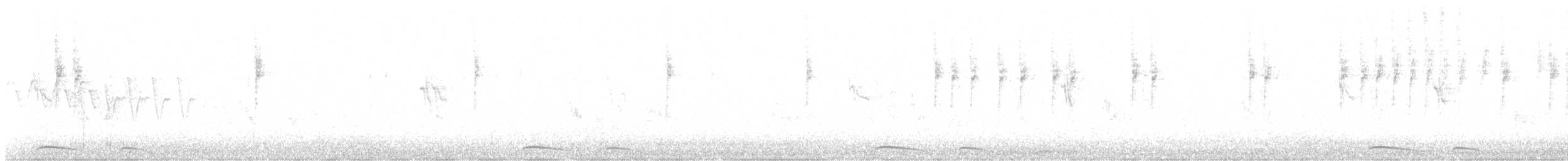 holoubek mexický - ML584091861