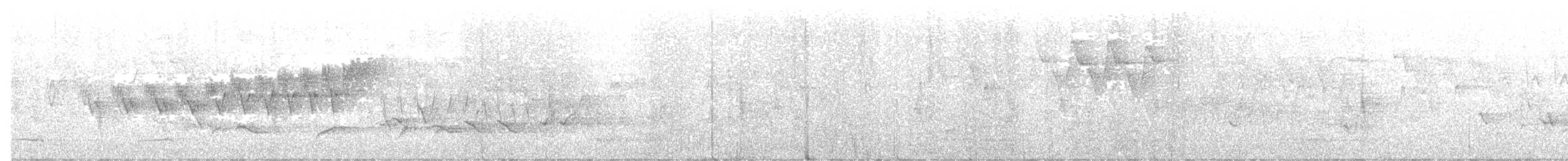 Cerulean Warbler - ML584097491