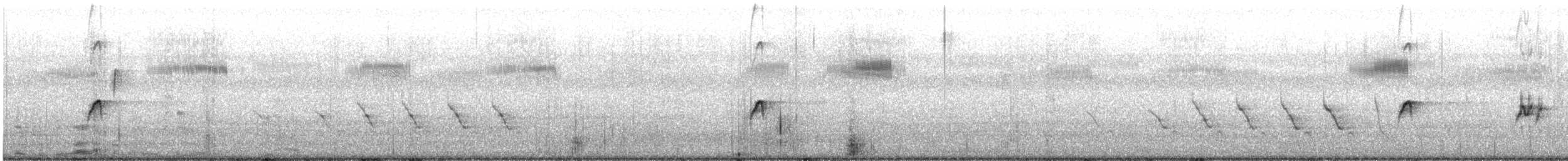 La Sagra's Flycatcher - ML584098211