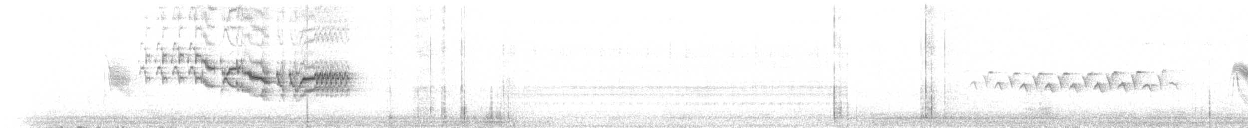 Пестрогорлый соловьиный дрозд - ML584100981