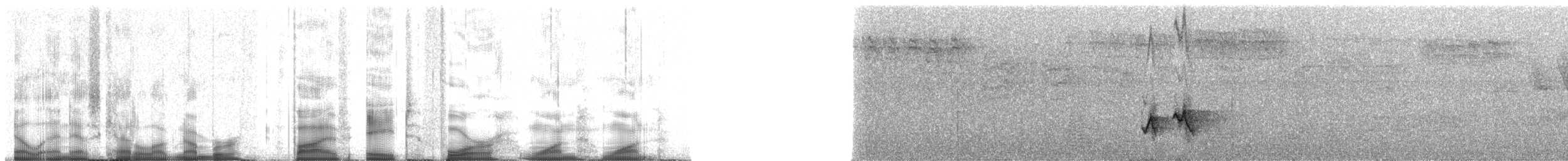 Yucatan Vireo - ML58411