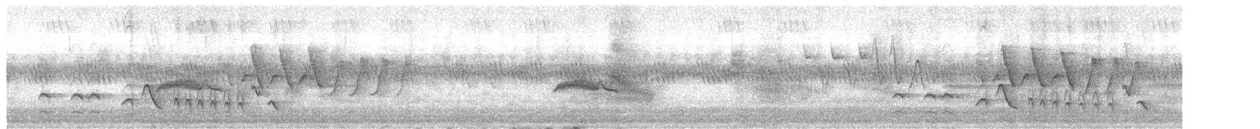 Bullock's Oriole - ML584114651