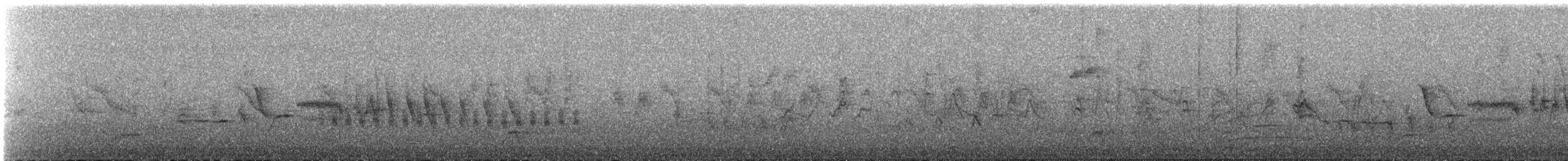 Bruant à couronne blanche (leucophrys/oriantha) - ML584118231