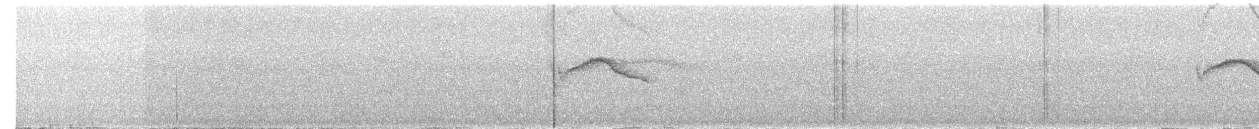 Kestane Karınlı Bülbül Tiranı - ML584138531