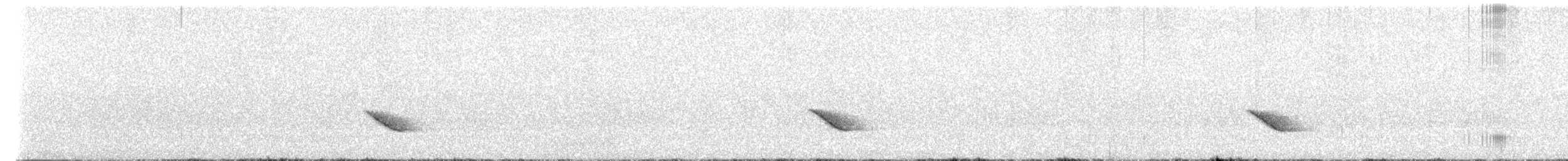 Дрізд-короткодзьоб бурий - ML584157551