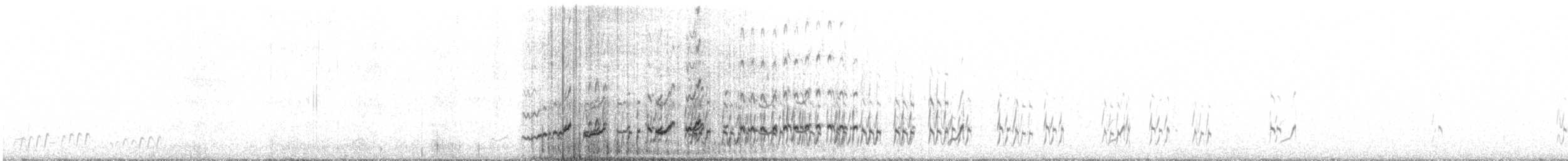 Weißbauch-Höhenläufer - ML584169801